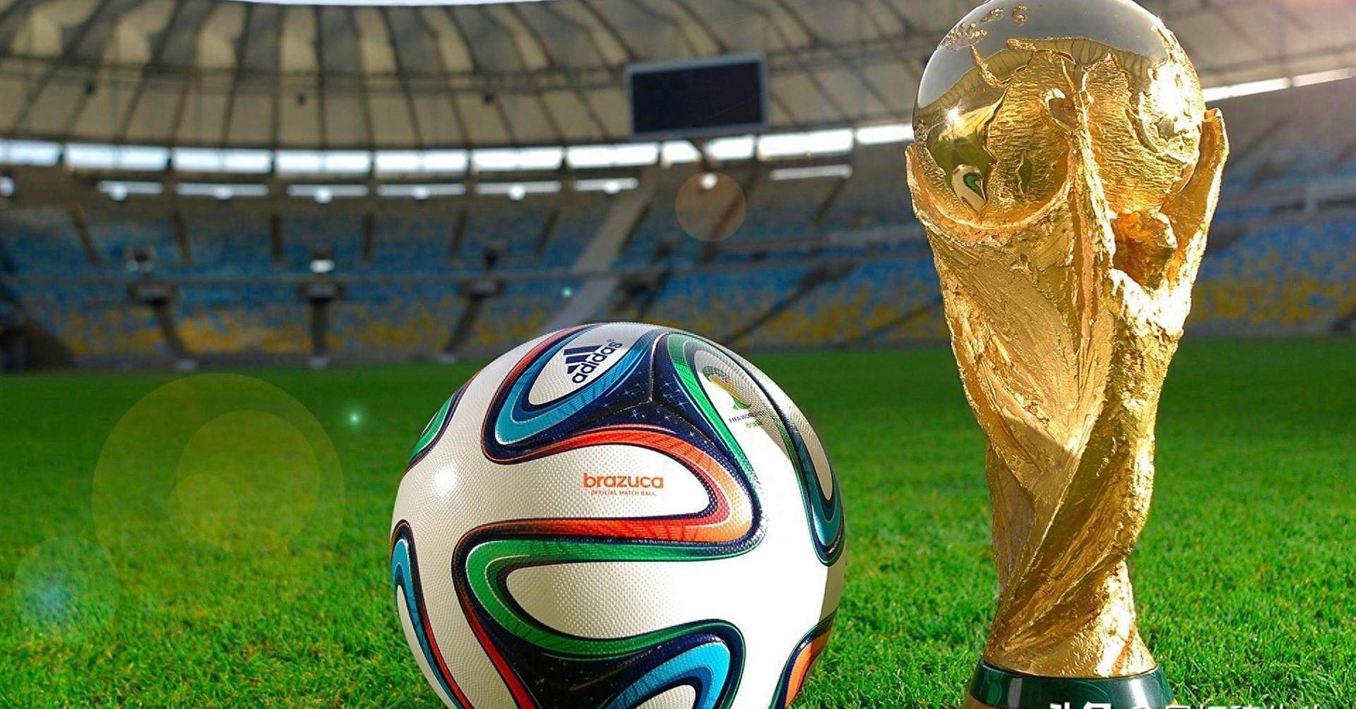 以本赛季对 以本赛季对